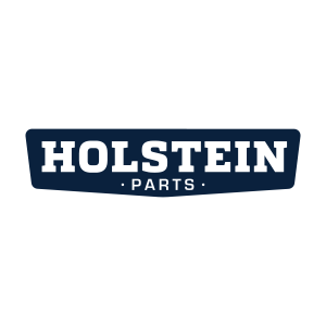 HOLSTEIN