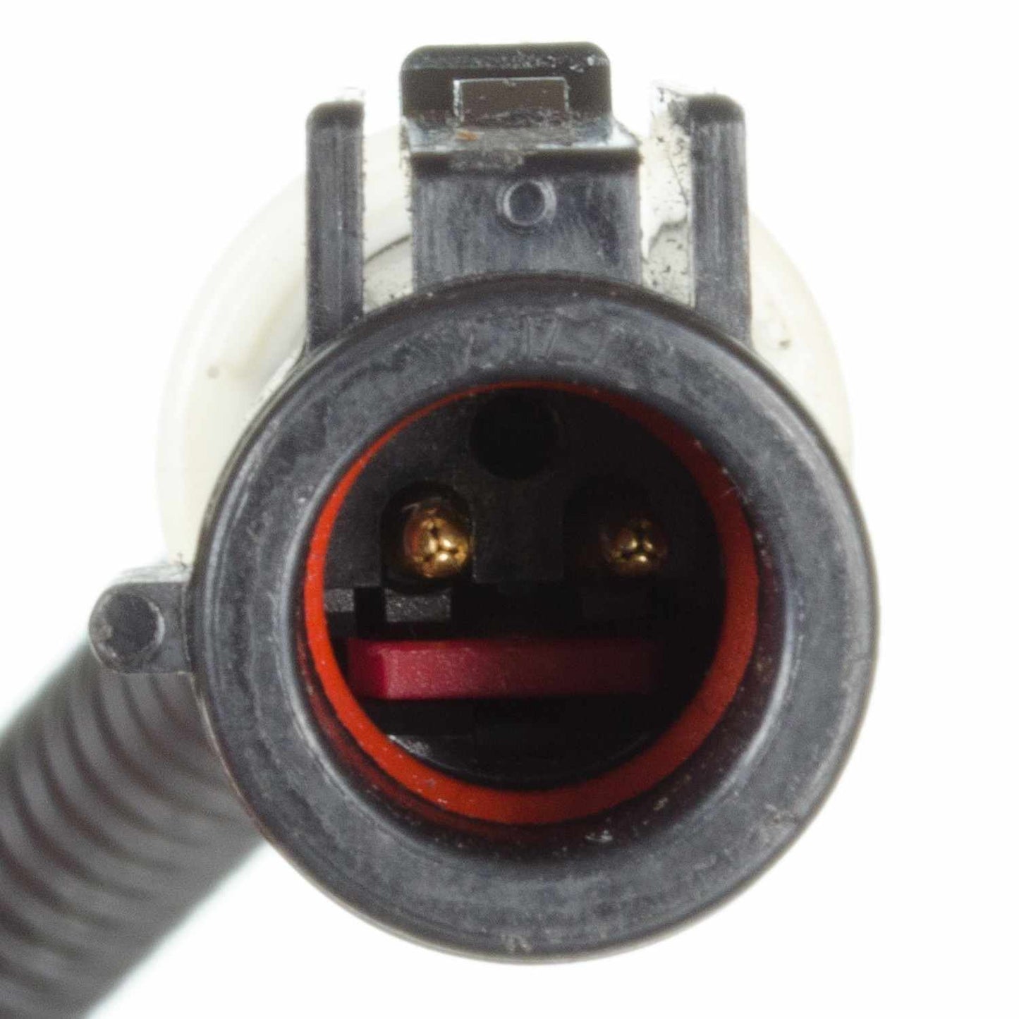 Connector View of Front Left ABS Wheel Speed Sensor HOLSTEIN 2ABS0488