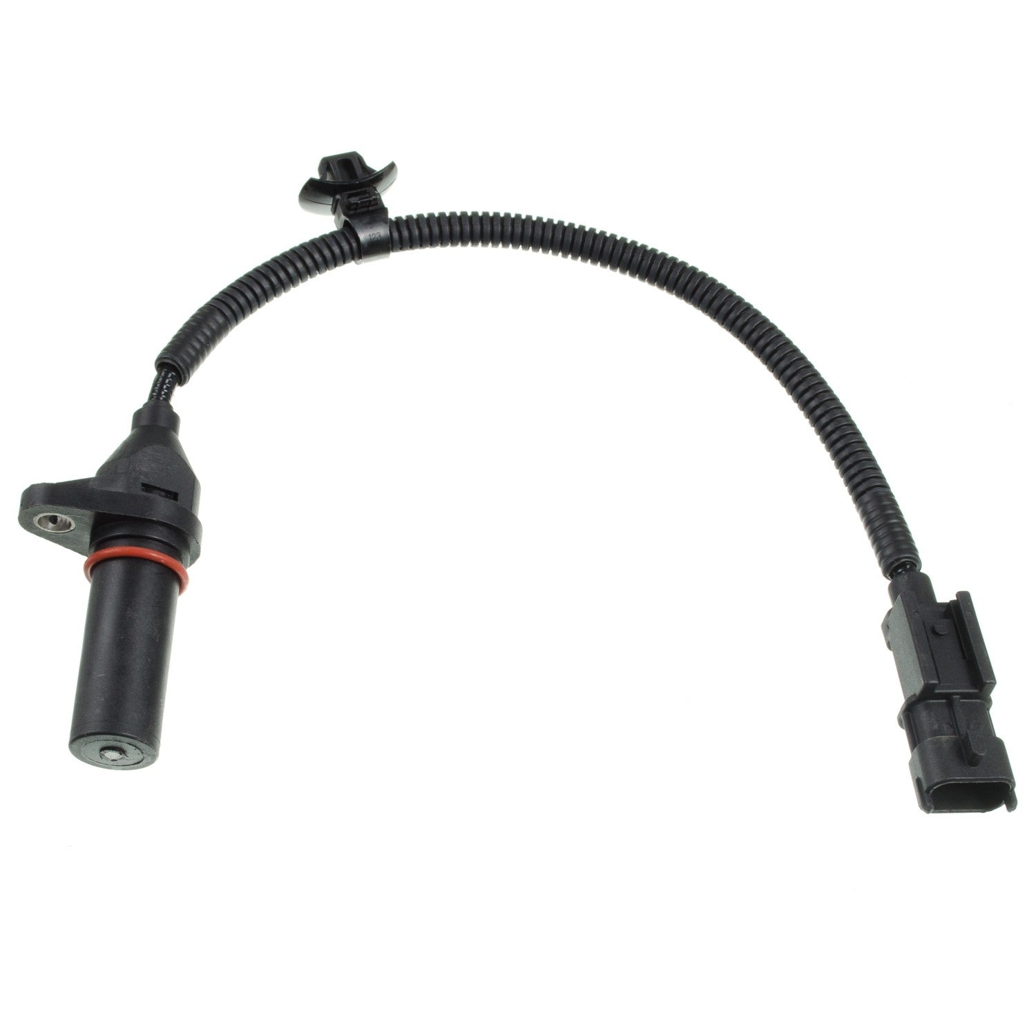 Front View of Engine Crankshaft Position Sensor HOLSTEIN 2CRK0316