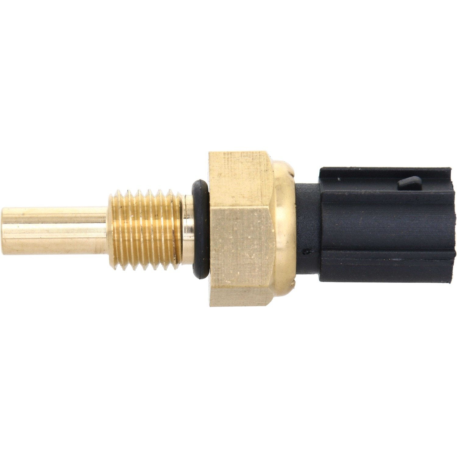 Back View of Engine Coolant Temperature Sensor HOLSTEIN 2CTS0047