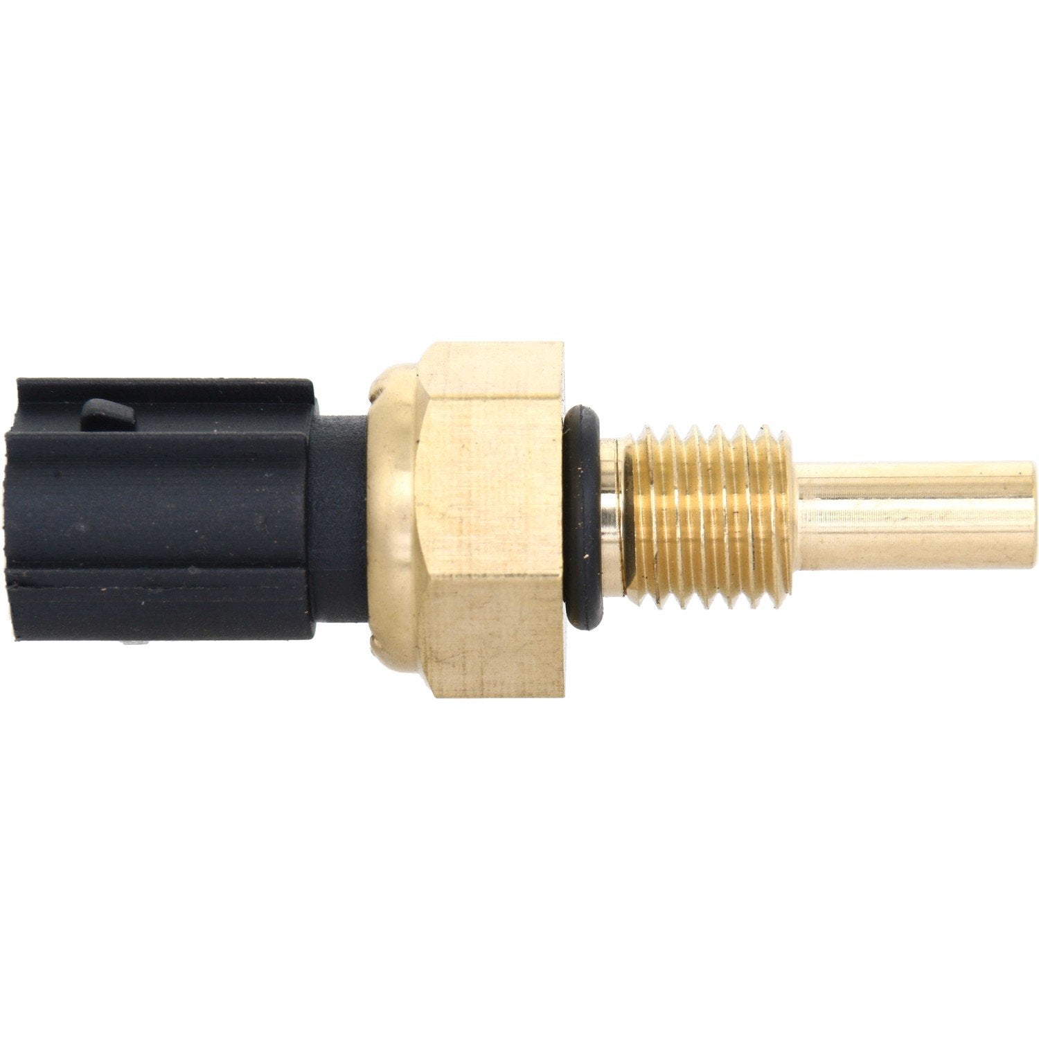 Connector View of Engine Coolant Temperature Sensor HOLSTEIN 2CTS0047