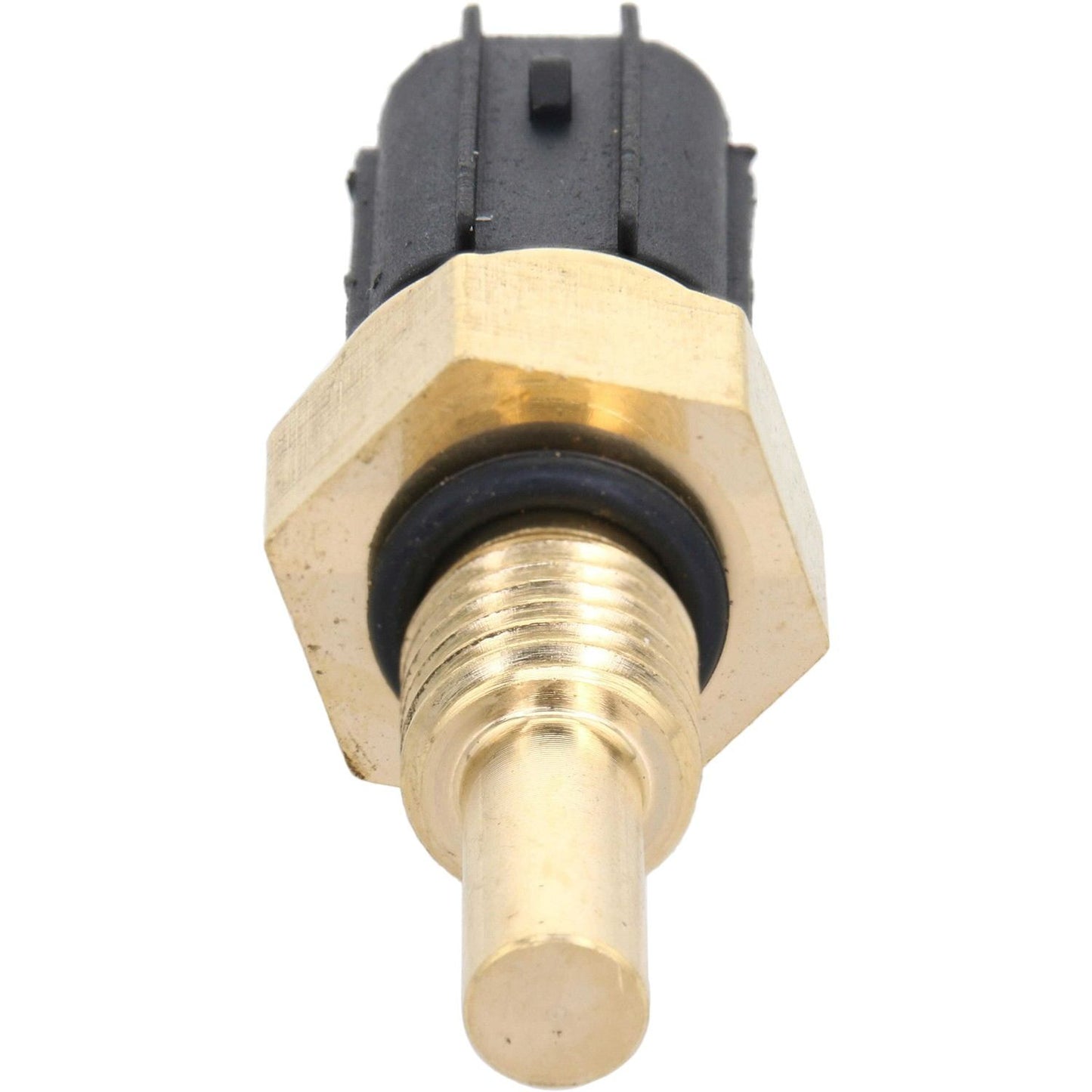 Front View of Engine Coolant Temperature Sensor HOLSTEIN 2CTS0047