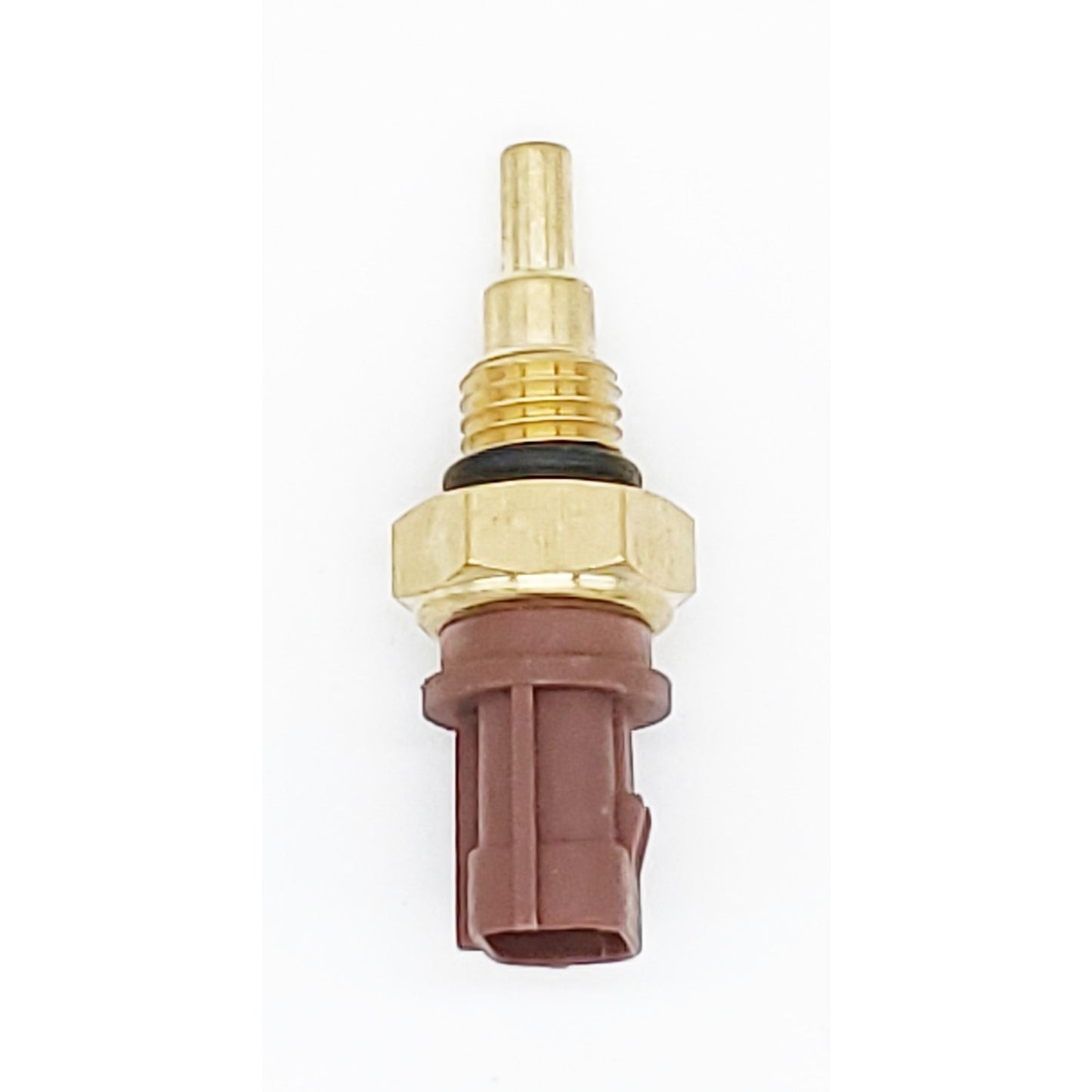 Front View of Engine Coolant Temperature Sensor HOLSTEIN 2CTS0056