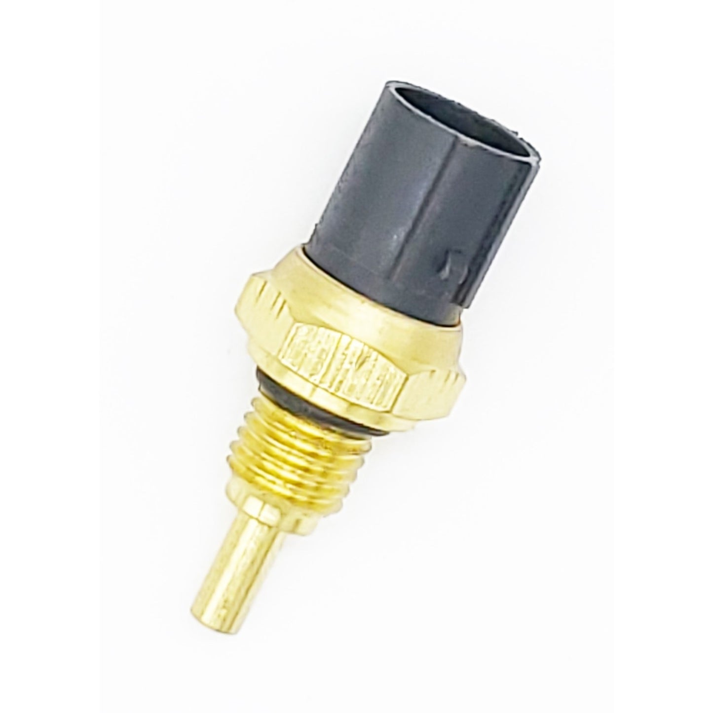 Front View of Engine Coolant Temperature Sensor HOLSTEIN 2CTS0121