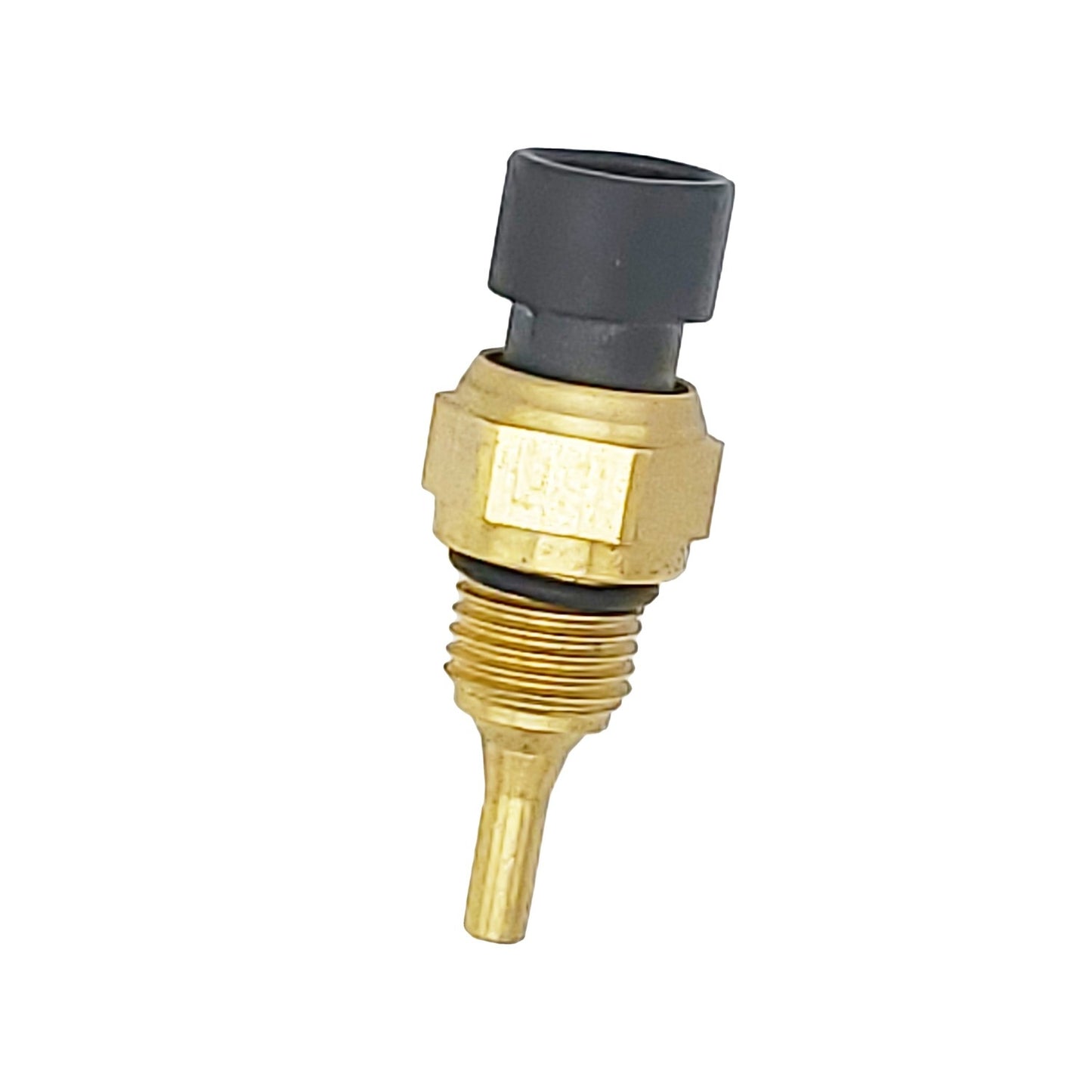 Back View of Engine Coolant Temperature Sensor HOLSTEIN 2CTS0193