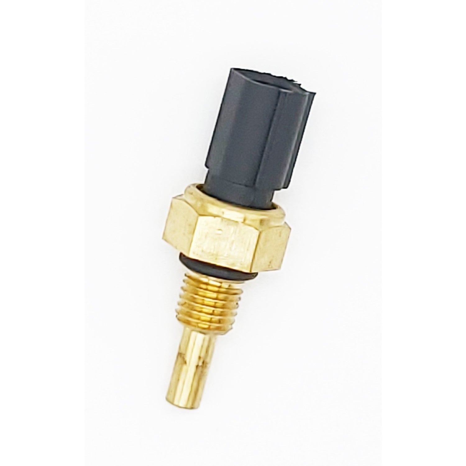 Back View of Engine Coolant Temperature Sensor HOLSTEIN 2CTS0222