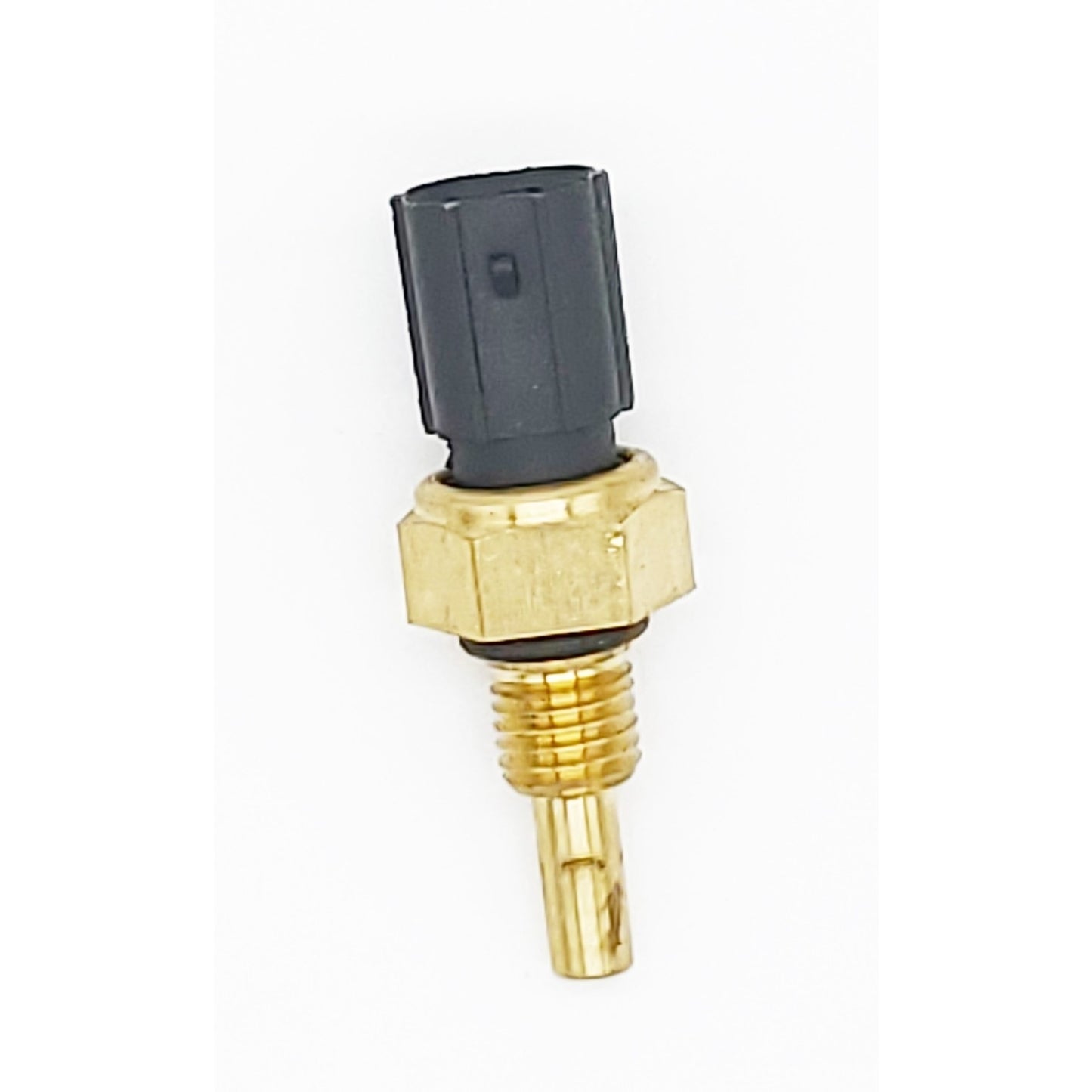 Front View of Engine Coolant Temperature Sensor HOLSTEIN 2CTS0222