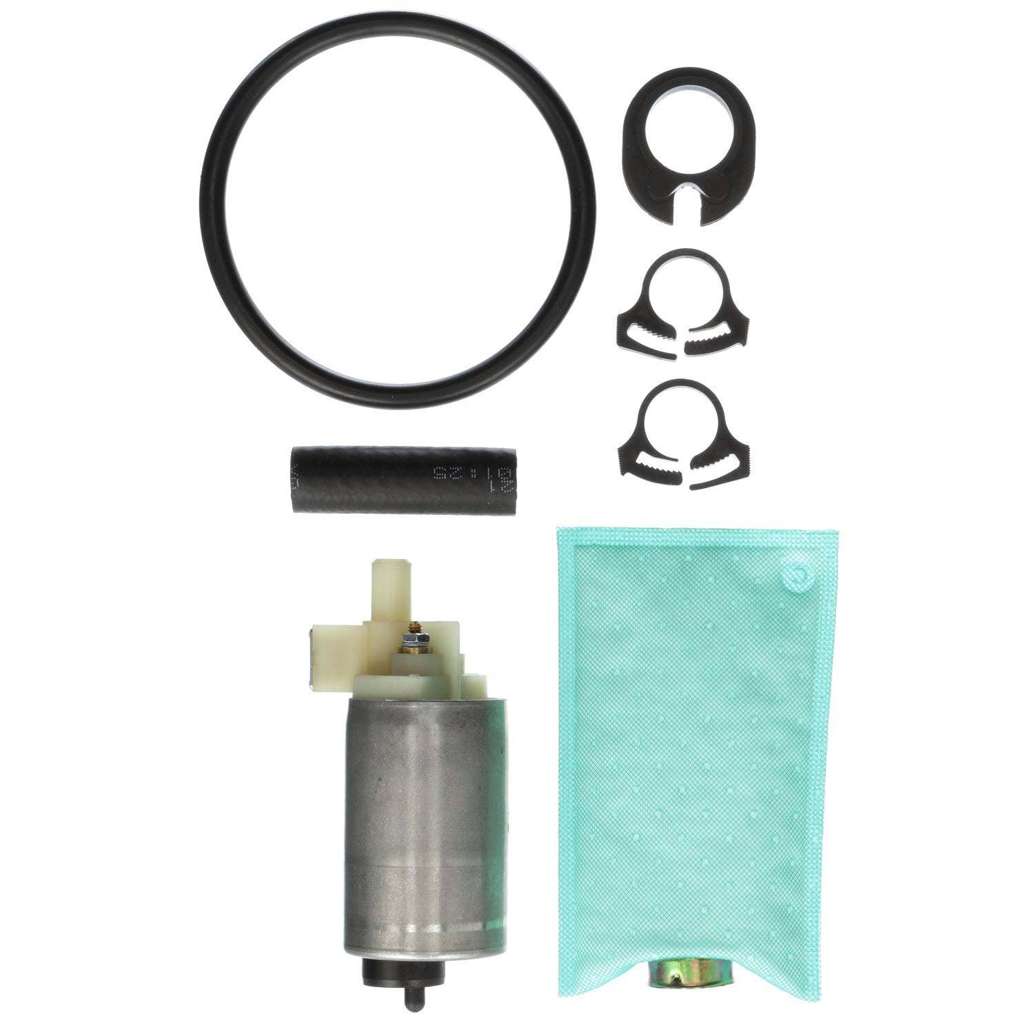 Kit View of Fuel Pump and Strainer Set CARTER P6876