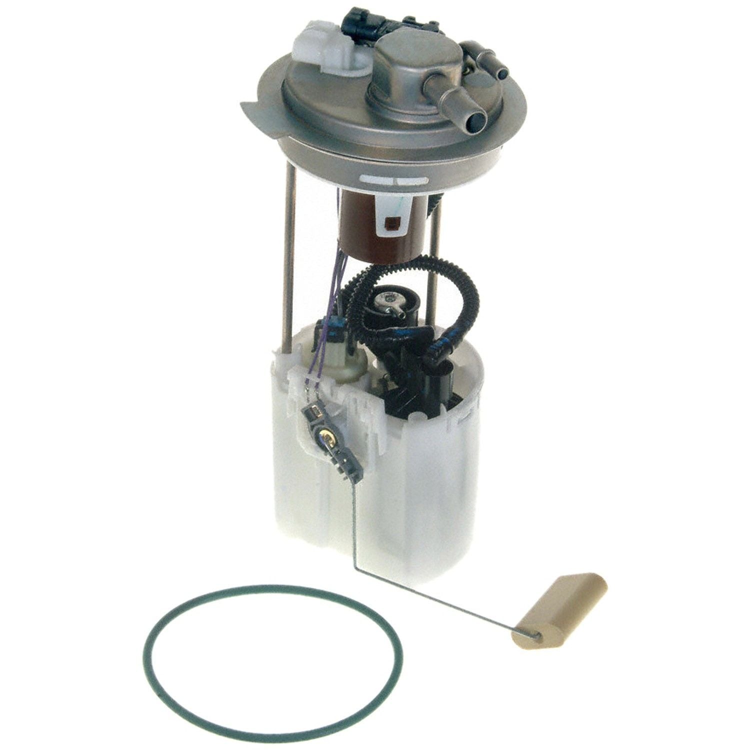 Angle View of Fuel Pump Module Assembly CARTER P76147M