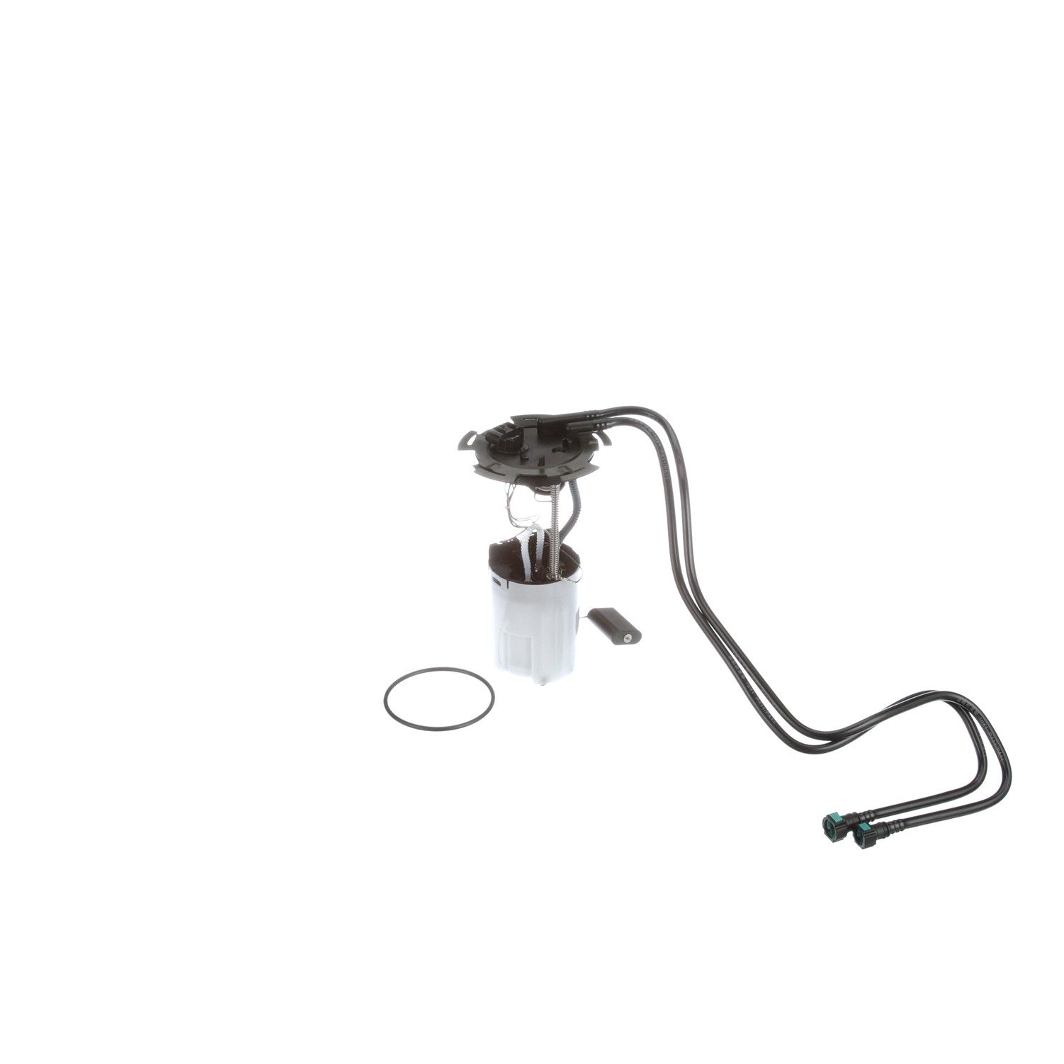 Back View of Fuel Pump Module Assembly CARTER P76252M