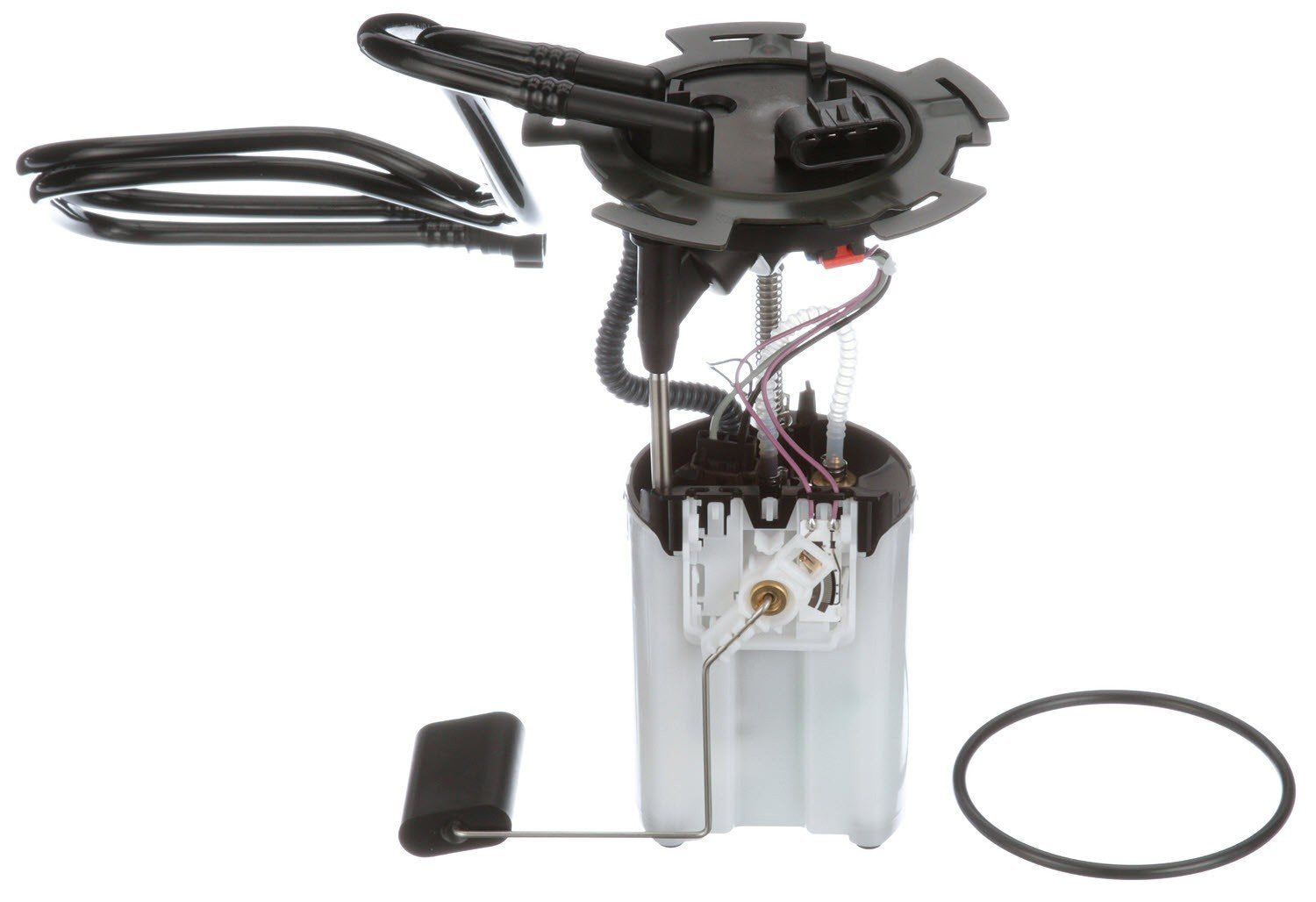 Front View of Fuel Pump Module Assembly CARTER P76252M