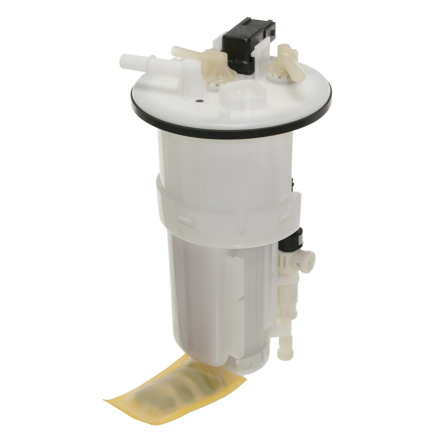 Angle View of Fuel Pump Module Assembly CARTER P76387M