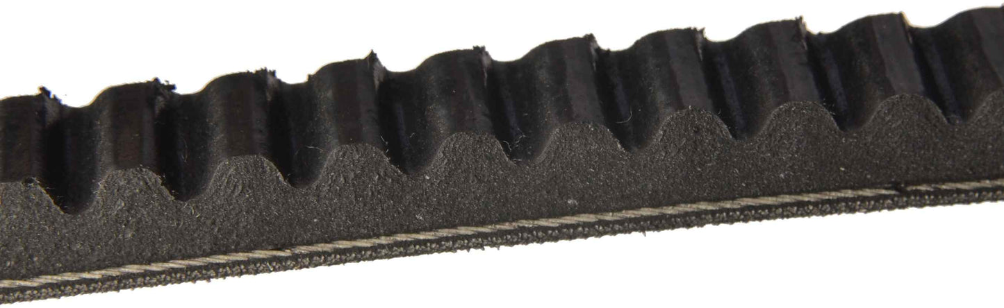 Side View of Accessory Drive Belt CONTITECH 15332