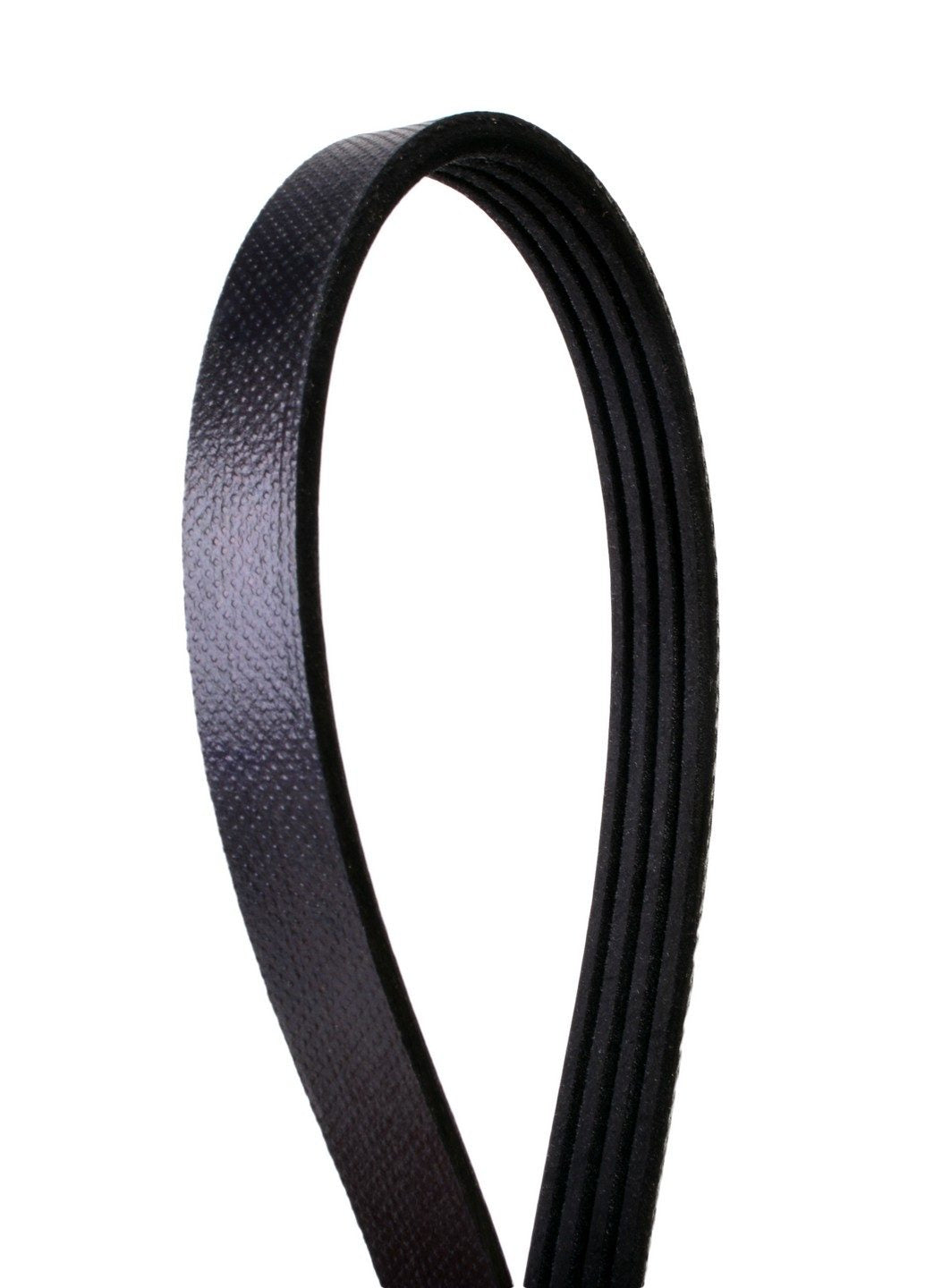 Front View of Serpentine Belt CONTITECH 4040325