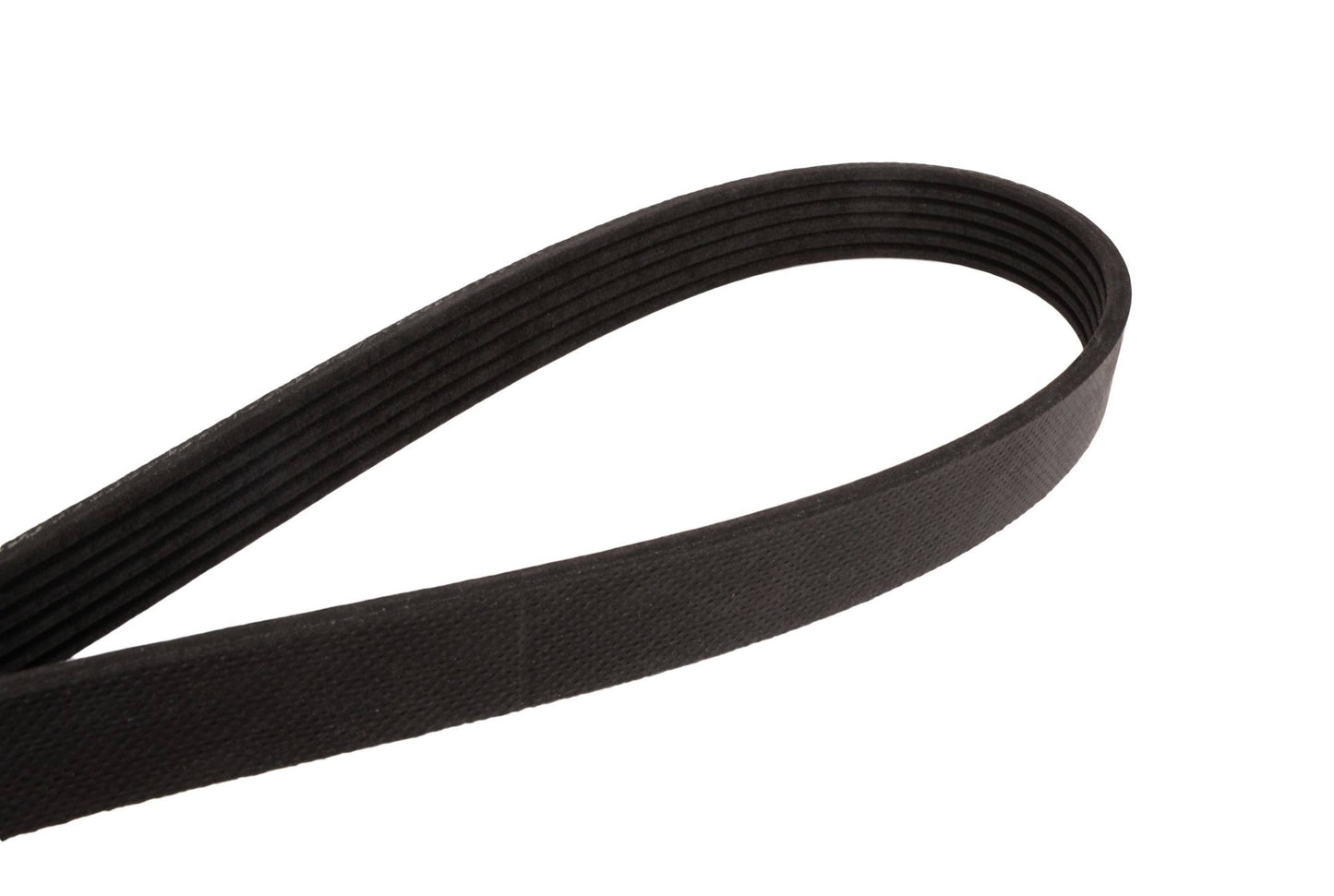 Side View of Serpentine Belt CONTITECH 4060653