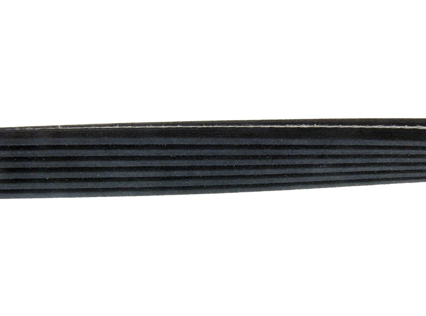 Angle View of Serpentine Belt CONTITECH 6DK1825