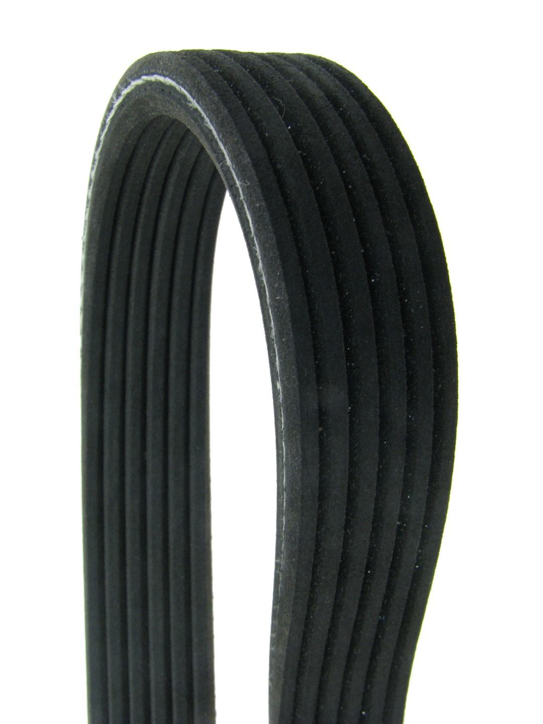 Front View of Serpentine Belt CONTITECH 6DK1825