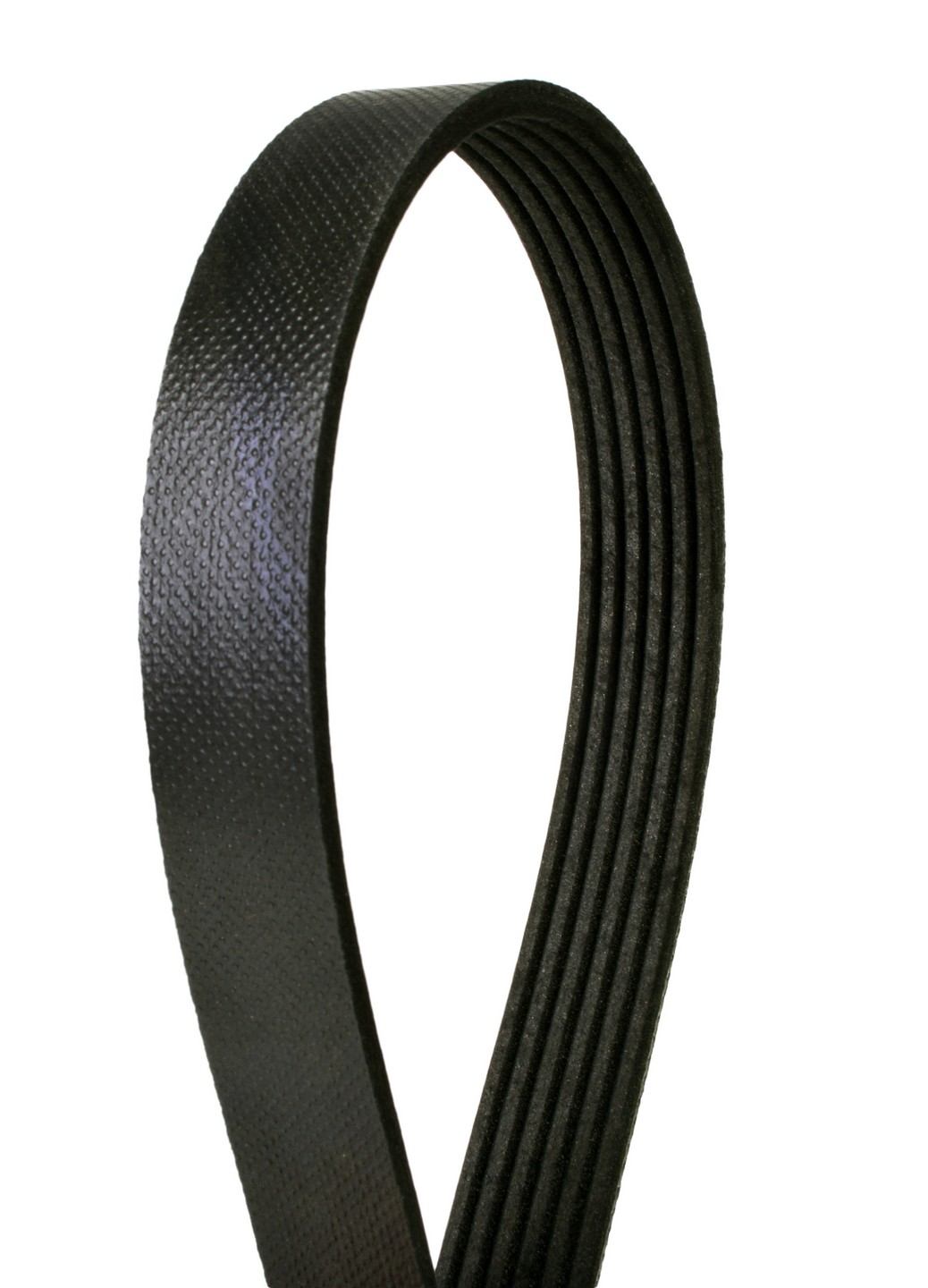 Front View of Serpentine Belt CONTITECH 6K1743