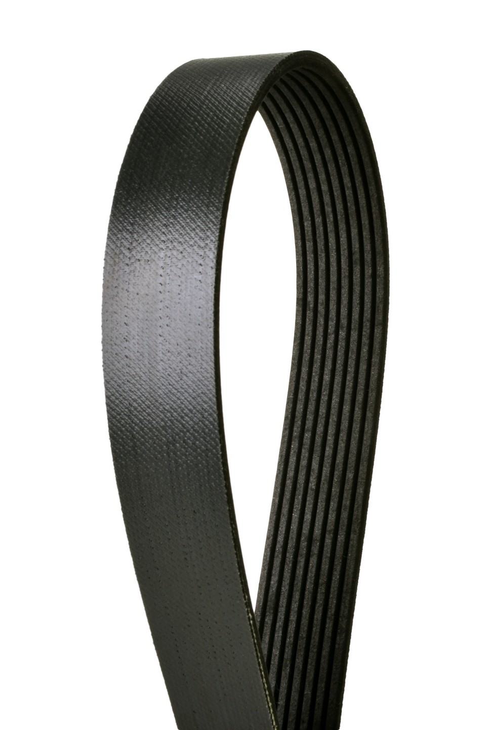 Front View of Serpentine Belt CONTITECH 8K2902