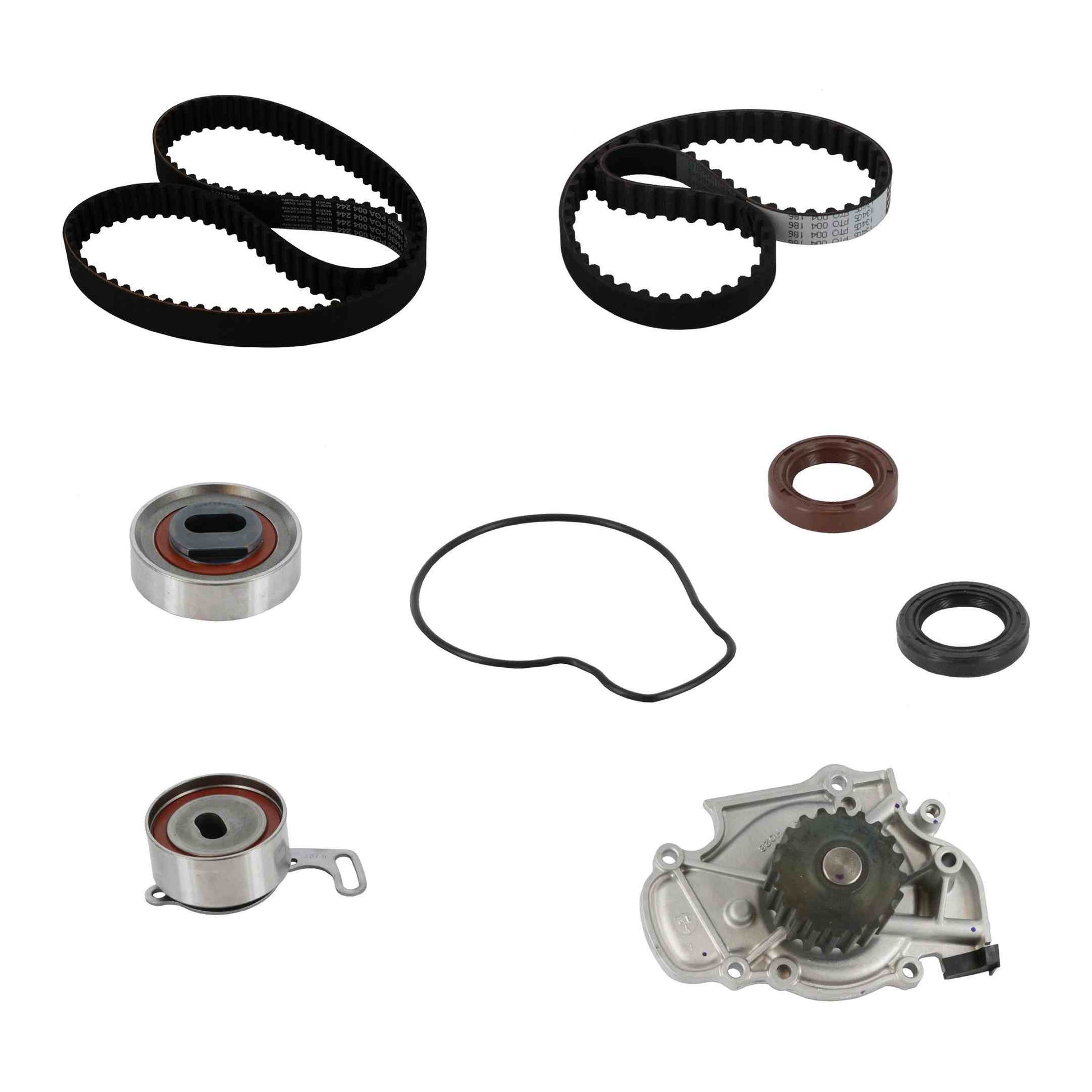 Front View of Engine Timing Belt Kit with Water Pump CONTITECH PP244-186LK1