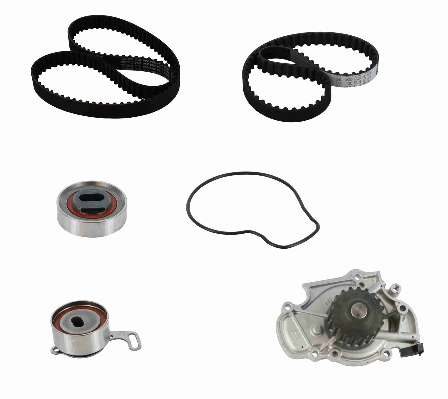 Front View of Engine Timing Belt Kit with Water Pump CONTITECH TB244-186LK1