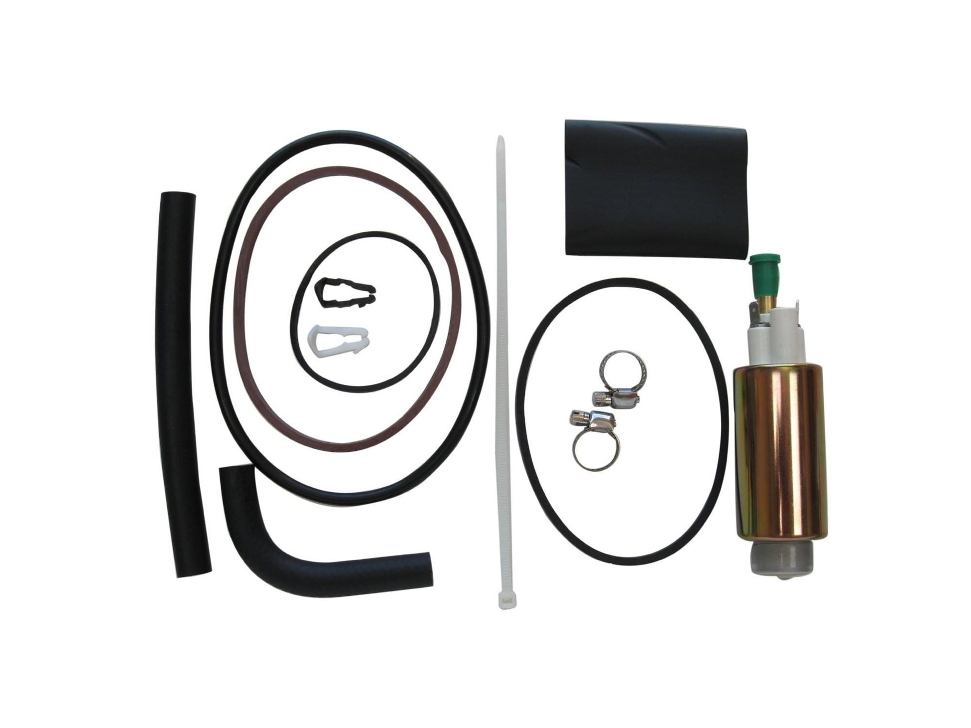 Kit View of Electric Fuel Pump AUTOBEST F1013