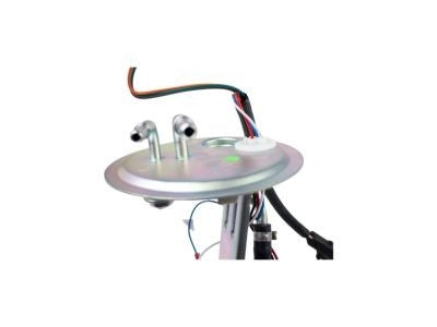 Angle View of Fuel Pump and Sender Assembly AUTOBEST F1219A