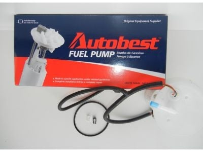 Angle View of Fuel Pump Module Assembly AUTOBEST F1296A