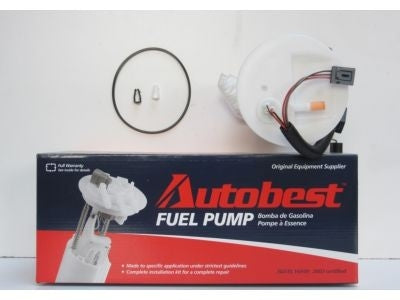 Angle View of Fuel Pump Module Assembly AUTOBEST F1366A