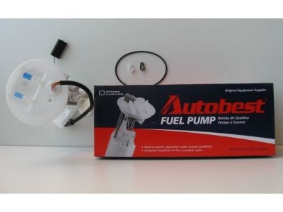 Angle View of Fuel Pump Module Assembly AUTOBEST F1372A