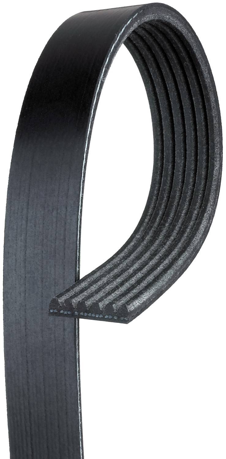 Front View of Accessory Drive Belt AC DELCO 6K1016