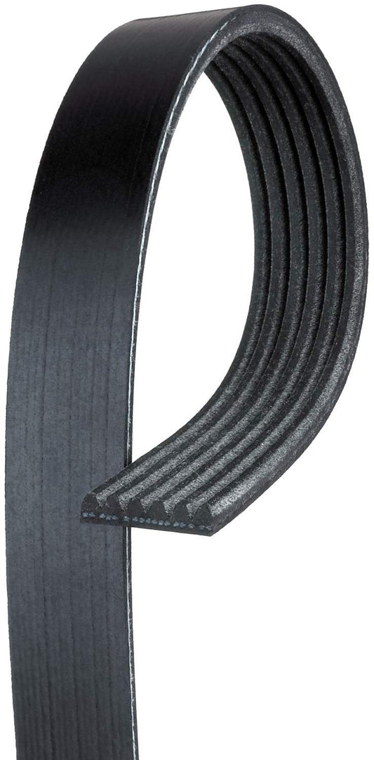 Front View of Accessory Drive Belt AC DELCO 6K711