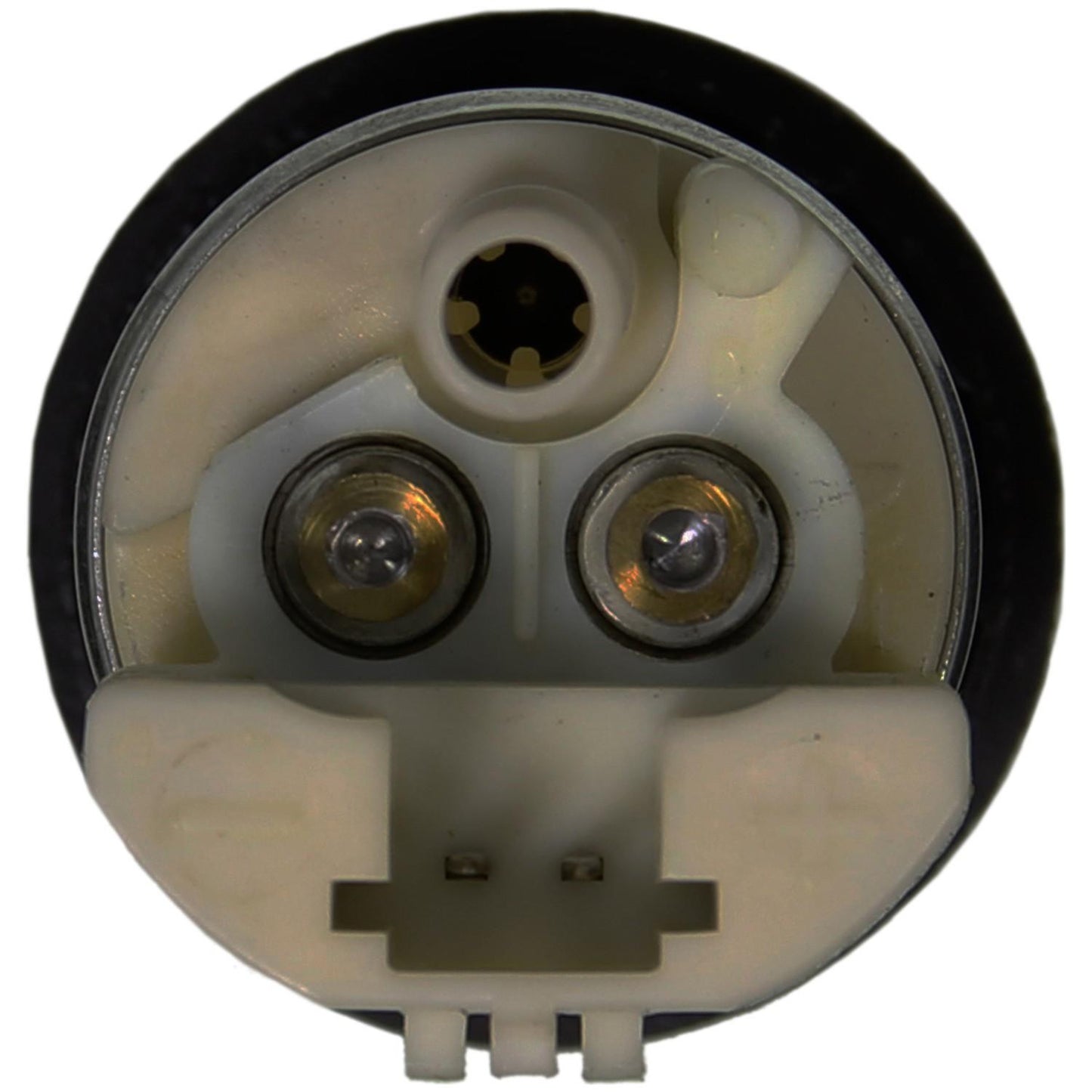 Connector View of Electric Fuel Pump AIRTEX E8119