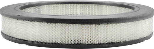 Front View of Air Filter BALDWIN PA2065