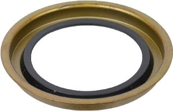 Angle View of Rear Wheel Seal SKF 18990