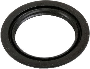 Angle View of Front Wheel Seal SKF 19221