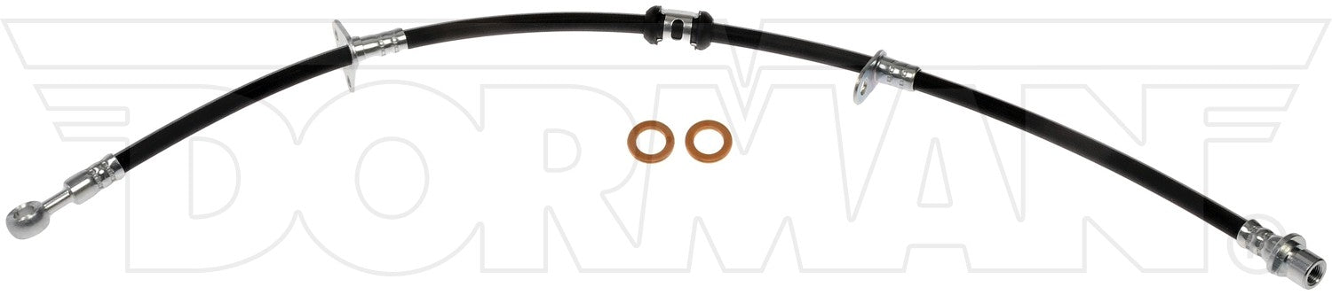 Angle View of Front Right Brake Hydraulic Hose DORMAN H38831