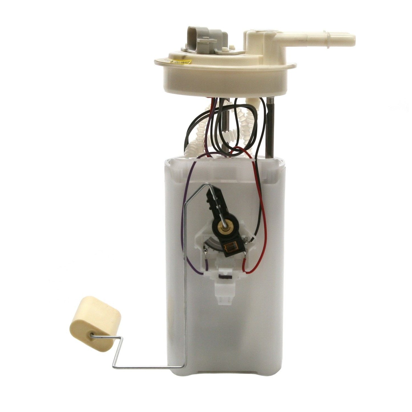 Angle View of Fuel Pump Module Assembly DELPHI FG0010