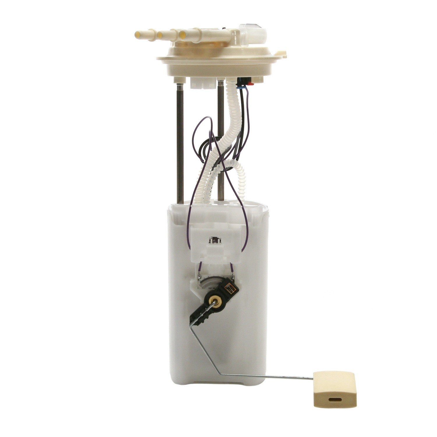 Angle View of Fuel Pump Module Assembly DELPHI FG0029