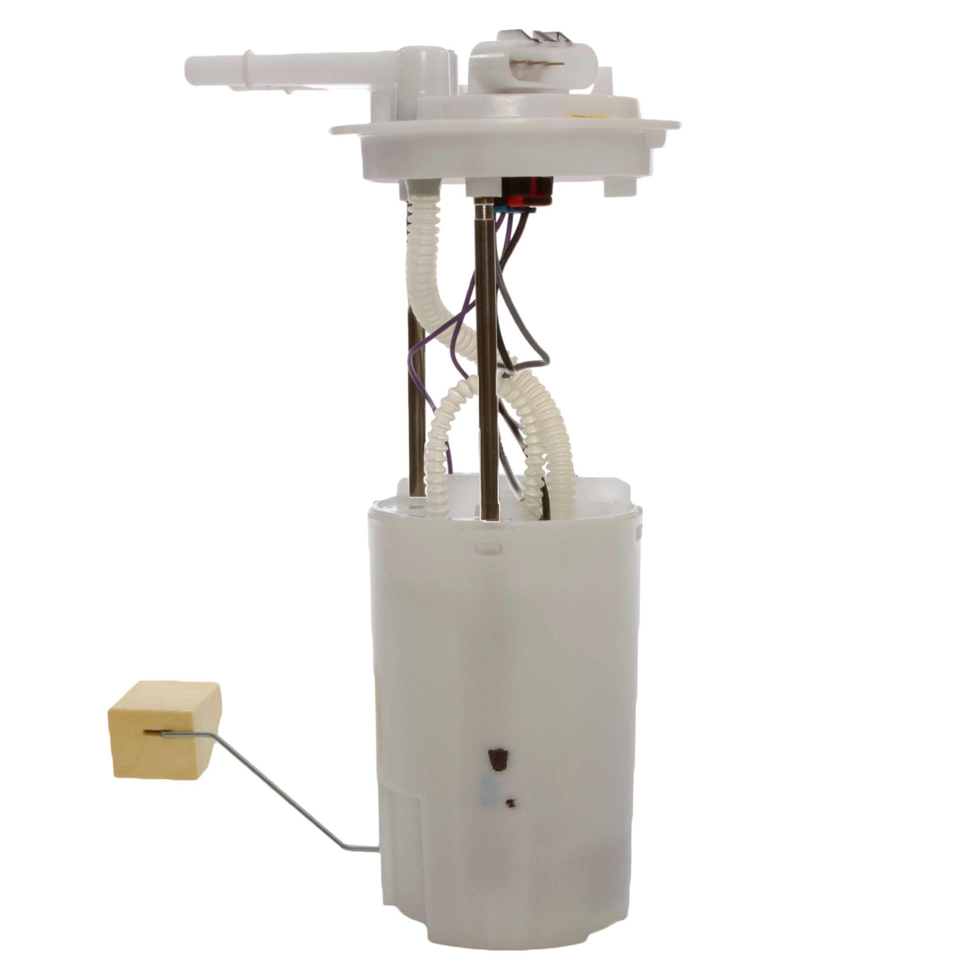 Angle View of Fuel Pump Module Assembly DELPHI FG0041