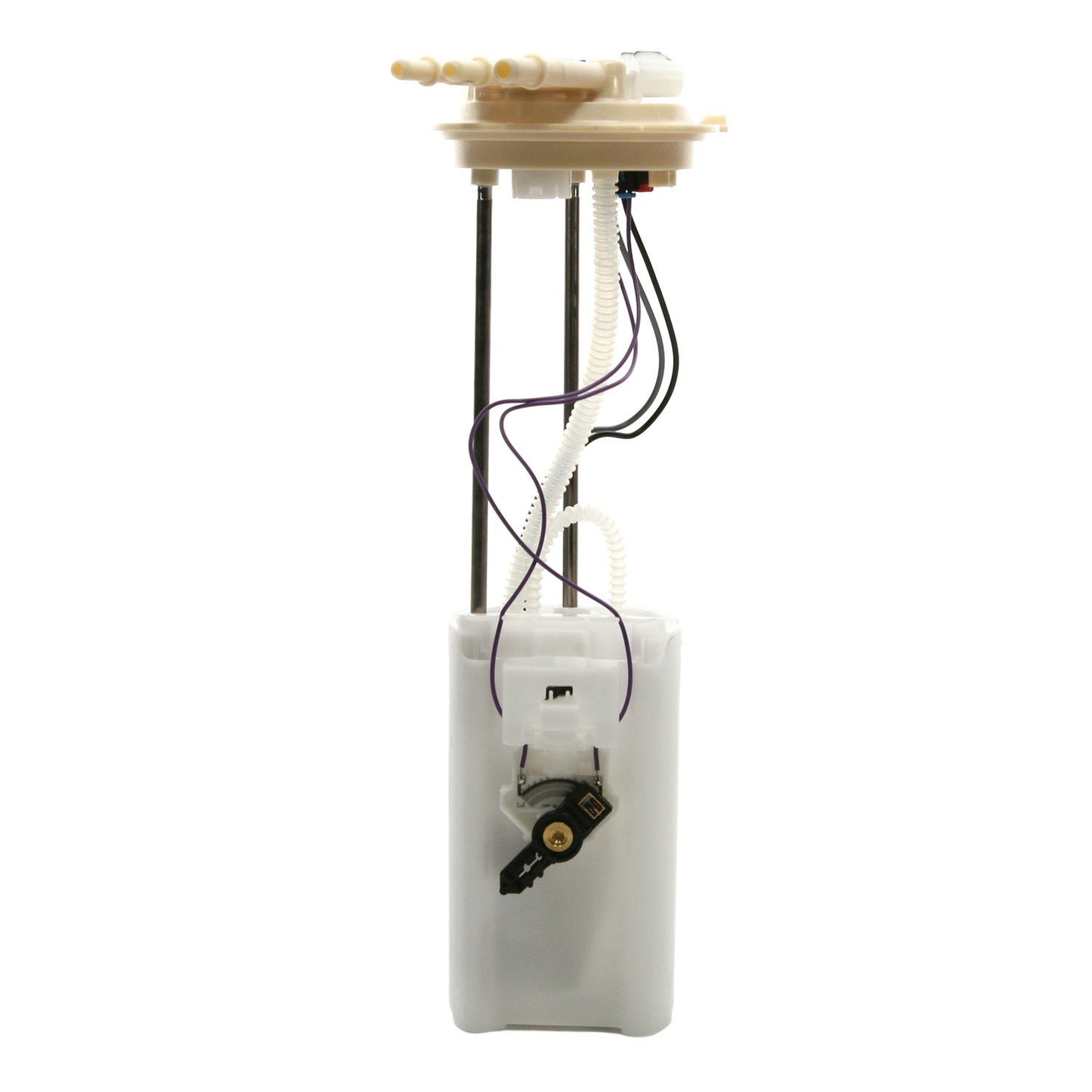 Angle View of Fuel Pump Module Assembly DELPHI FG0068