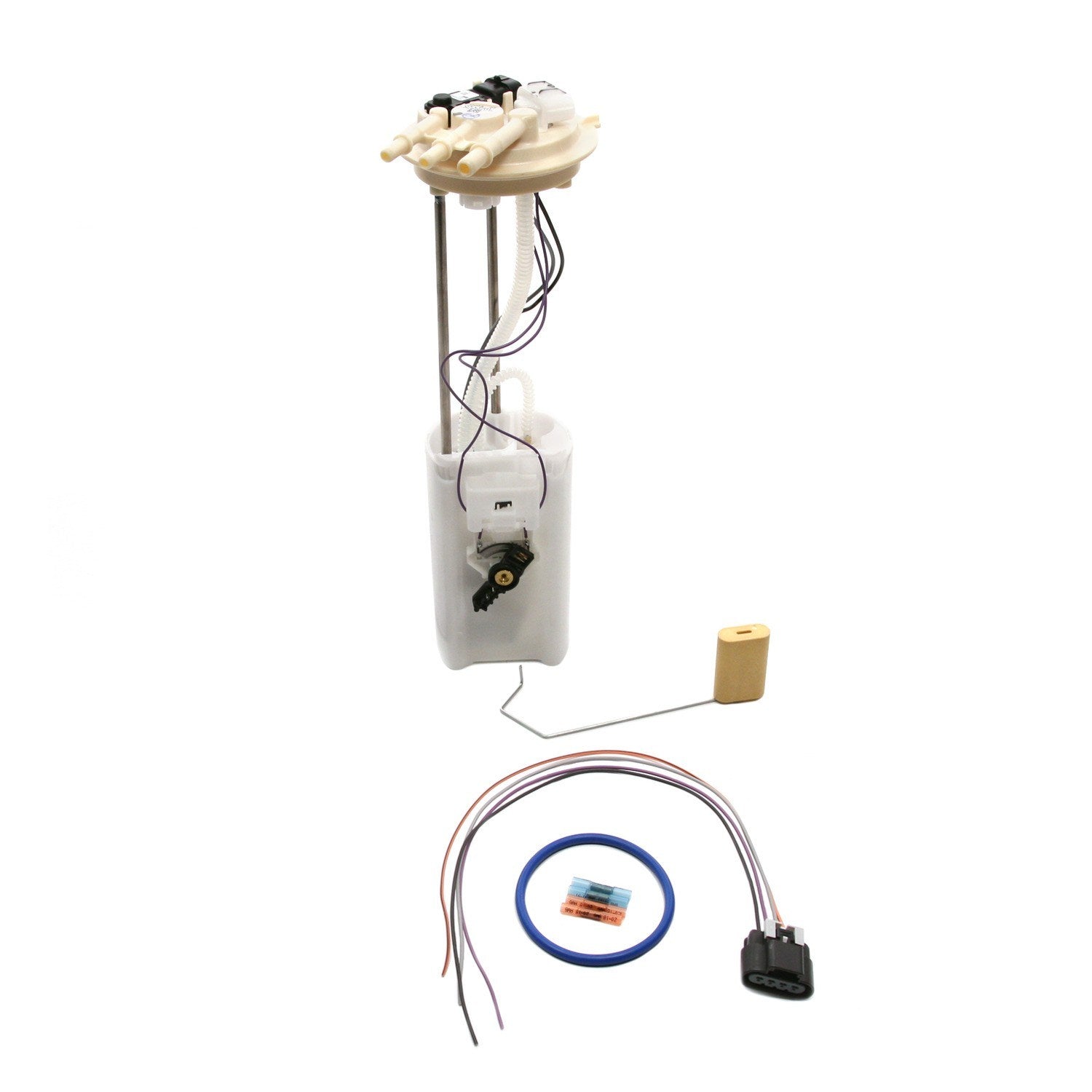 Kit View of Fuel Pump Module Assembly DELPHI FG0068