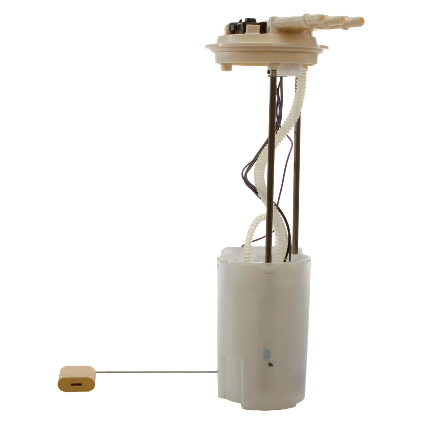 Angle View of Fuel Pump Module Assembly DELPHI FG0069