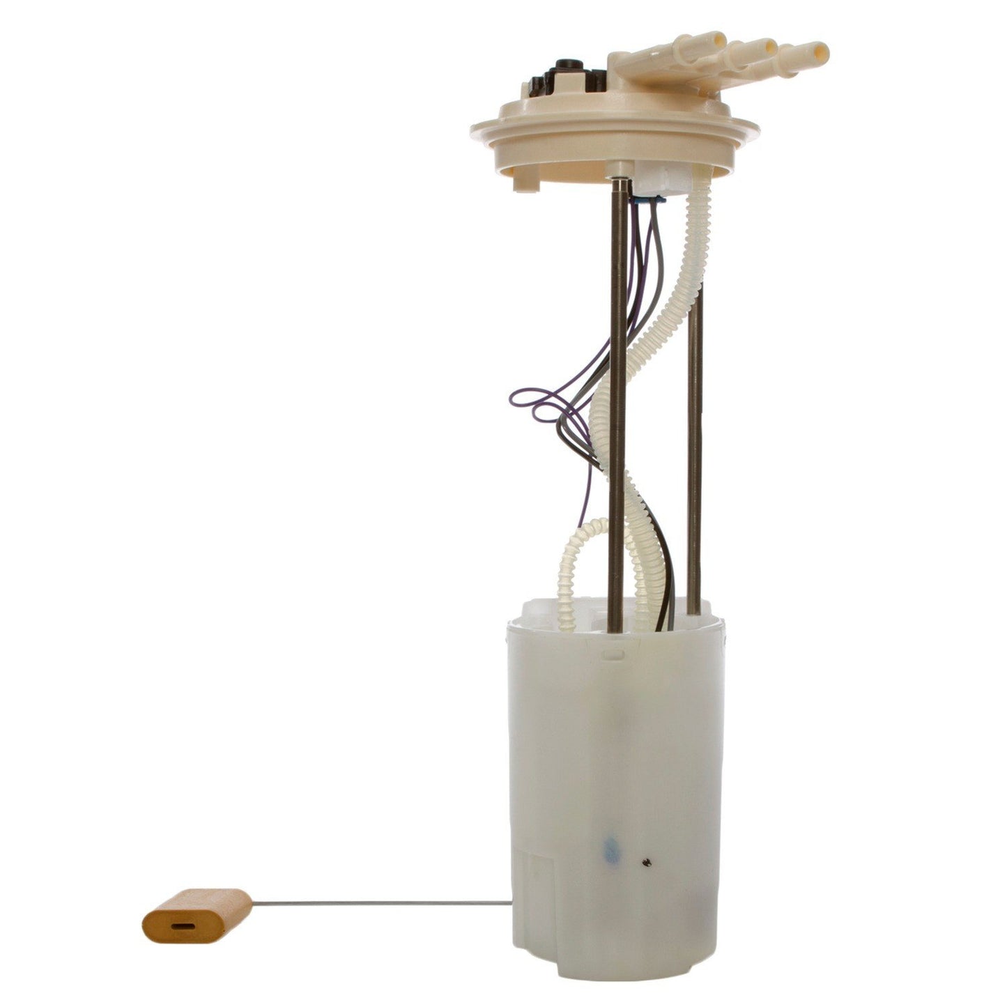 Angle View of Fuel Pump Module Assembly DELPHI FG0070