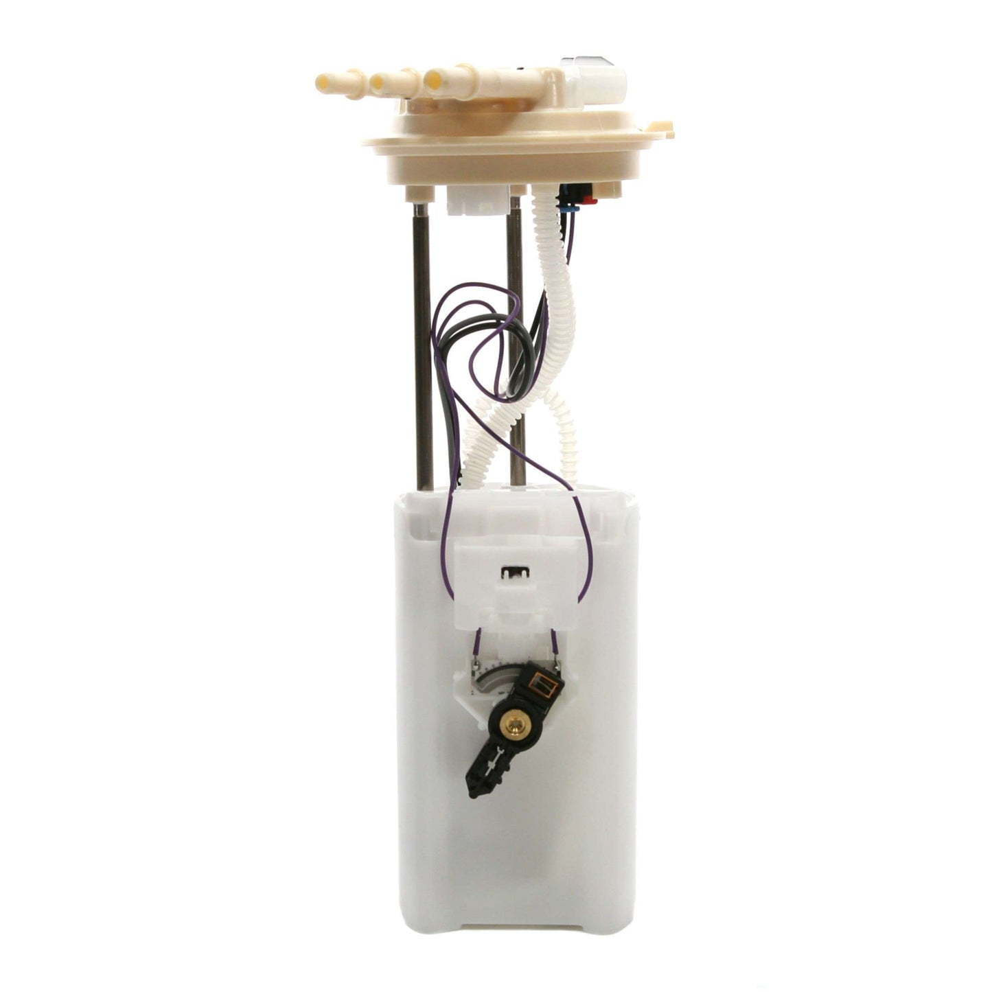 Angle View of Fuel Pump Module Assembly DELPHI FG0072