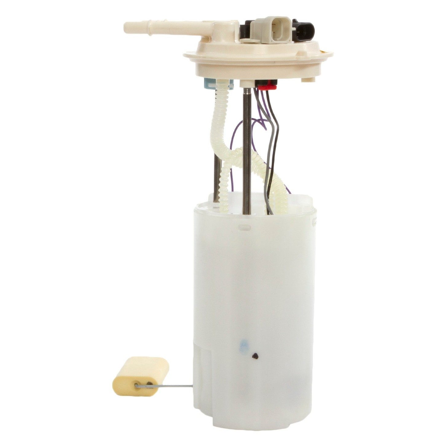 Angle View of Fuel Pump Module Assembly DELPHI FG0151