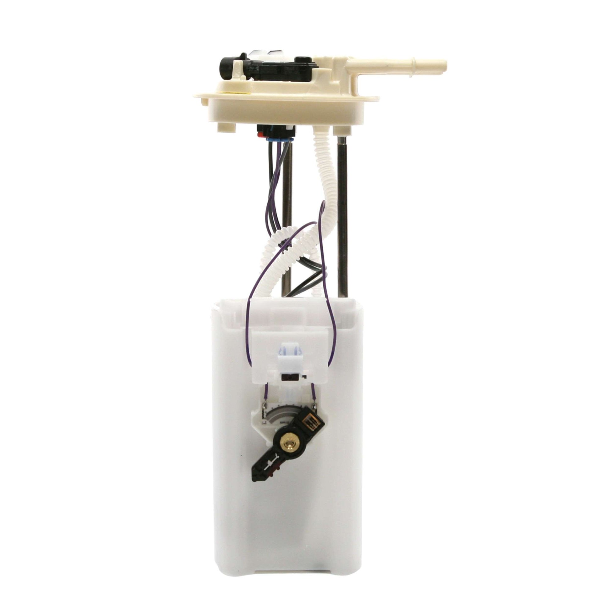 Angle View of Fuel Pump Module Assembly DELPHI FG0164