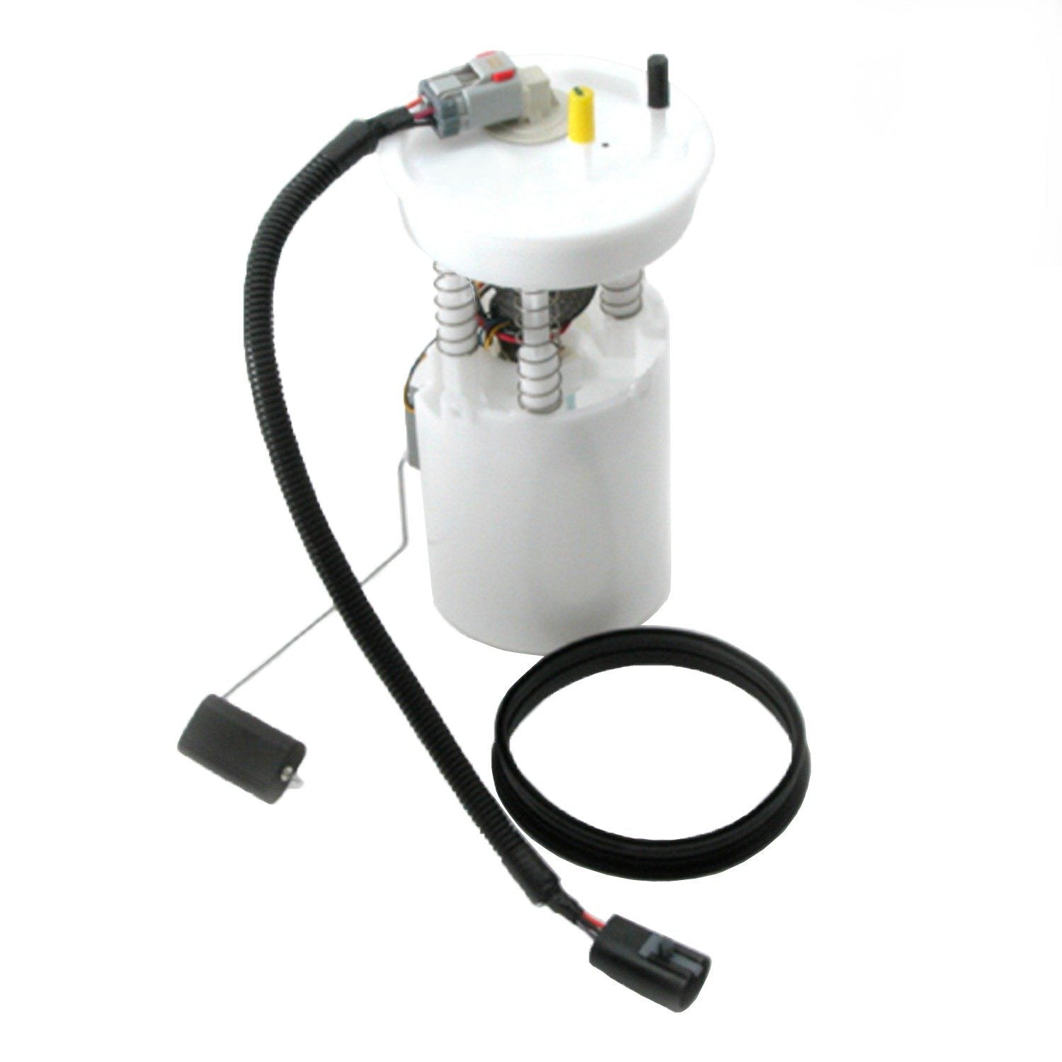 Kit View of Fuel Pump Module Assembly DELPHI FG0222