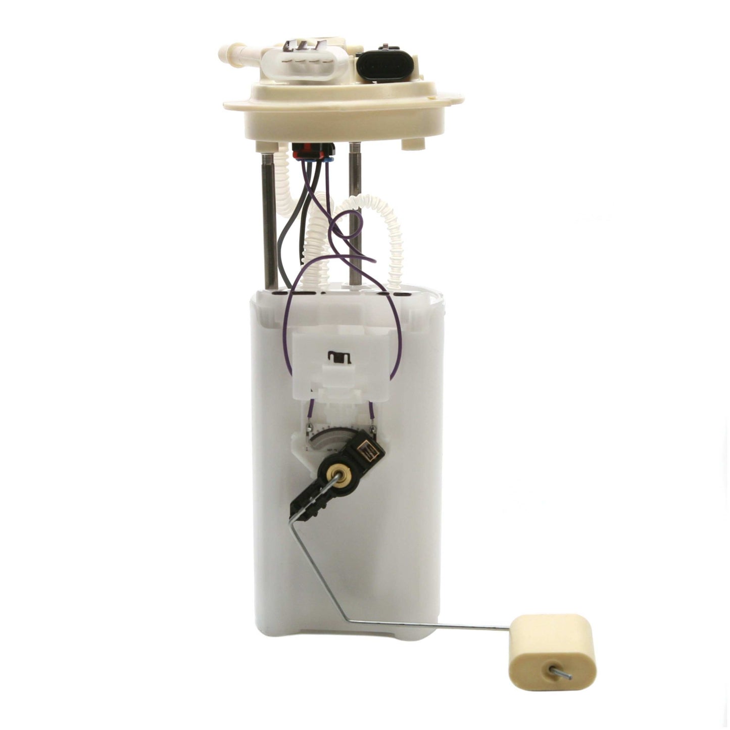 Angle View of Fuel Pump Module Assembly DELPHI FG0269