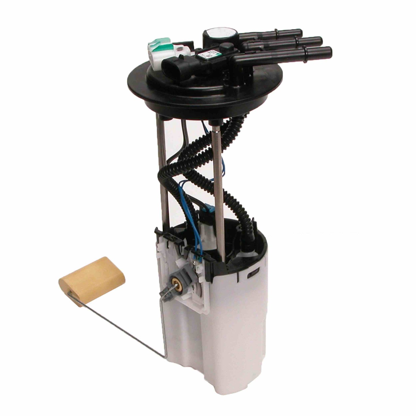 Angle View of Fuel Pump Module Assembly DELPHI FG0359